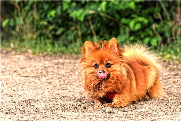 夢到提示有人適合自己代表著什麼_周公解夢官網