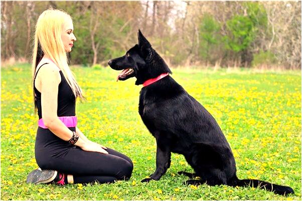 夢見神明談話有什麼意思嗎_周公解夢官網