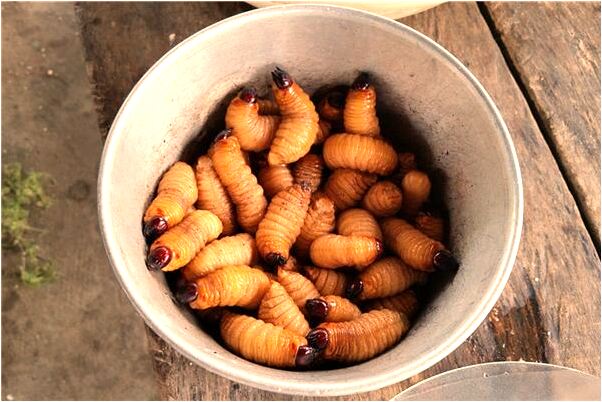 夢到了我把零錢拿給乾媽預示著什麼_周公解夢官網