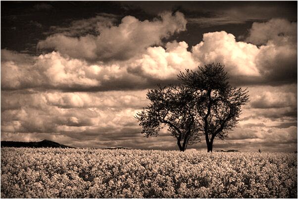 夢到了和師兄一起聽法師講弟子相代表什麼_周公解夢官網