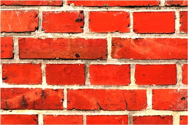 夢見飛蛇和小燕子攻擊我是啥預兆_周公解夢官網