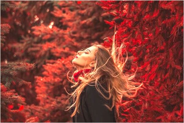 夢到丟西裝是什麼兆頭_周公解夢官網