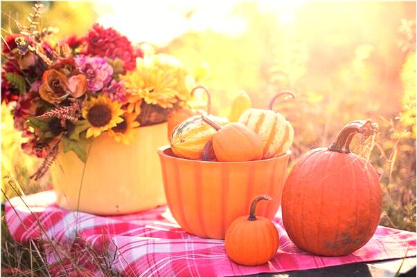 夢見自己背飯有人搶意味著什麼_周公解夢官網