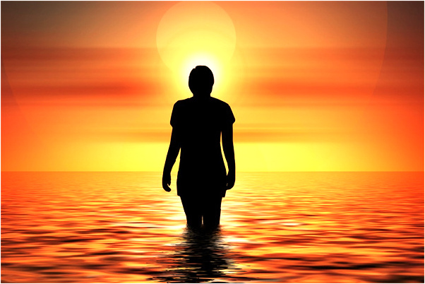 夢見很多紅色的魚在地里是什麼兆頭_周公解夢官網