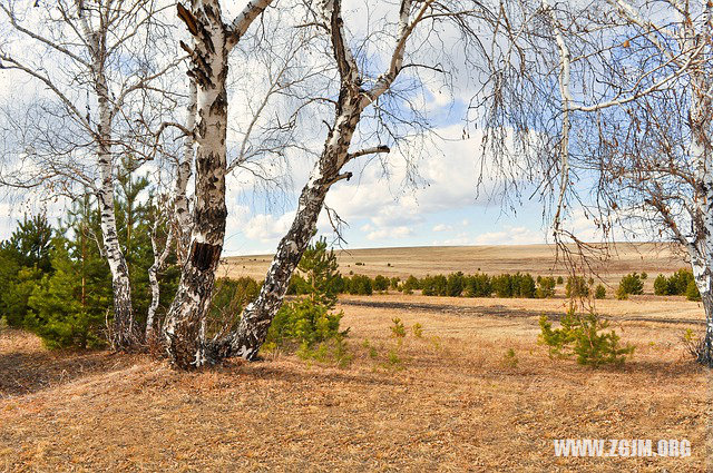 夢見抓住了一隻野雞_周公解夢夢到抓住了一隻野雞是什麼意思_做夢夢見抓住了一隻野雞好不好_周公解夢官網