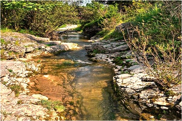 夢到了坐電梯找人是什麼意思_周公解夢官網