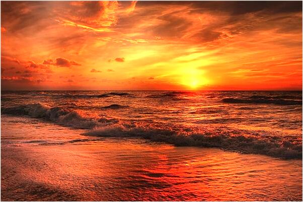 夢見點玉米是什麼意思_周公解夢官網