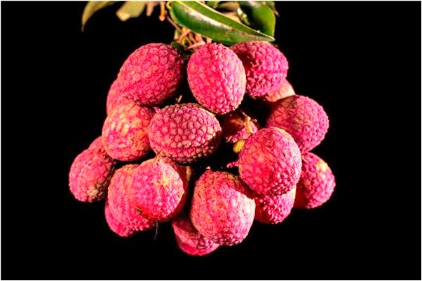 夢見死去的先人教認字是什麼預兆_周公解夢官網