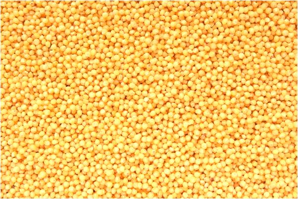 夢到了湖崖邊釣魚跌落湖水裡代表著什麼？_周公解夢官網