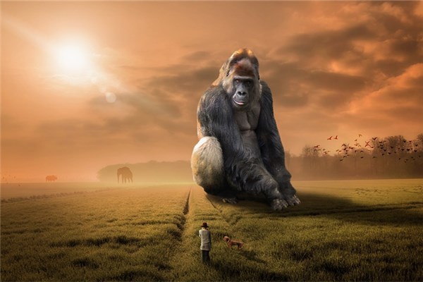 夢到巨大預示了什麼_周公解夢