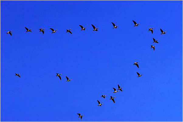 夢到公檢法三長被歹徒炸死有什麼意義嗎_周公解夢官網