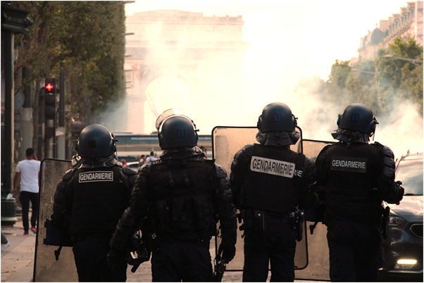 夢到了自己打死蟑螂代表著什麼_周公解夢官網