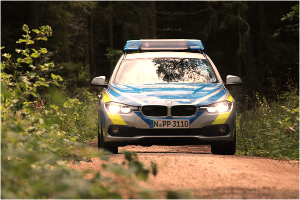 夢到了魚都頭朝下在水裡是啥預兆_周公解夢官網