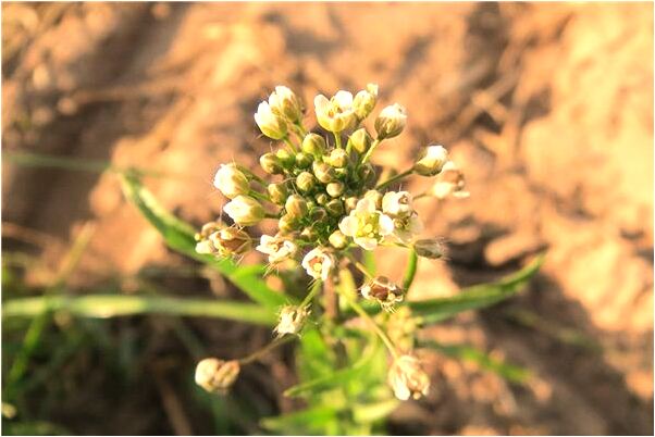 夢到媽媽和別人發生關係是什麼徵兆_周公解夢官網