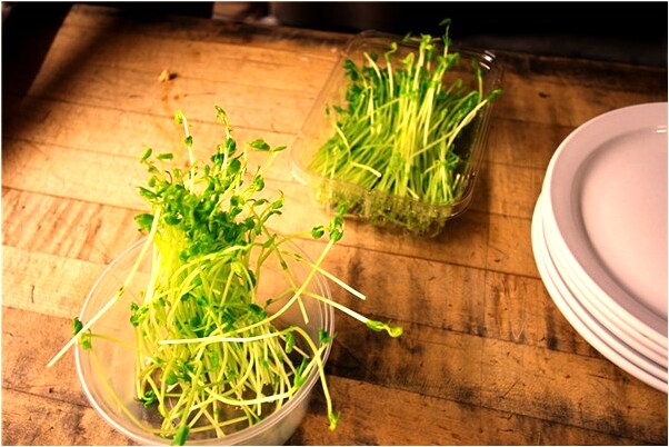 夢到了別人被綁有什麼意思嗎_周公解夢官網