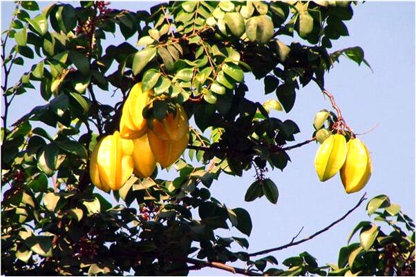 夢見上山要回工資一百塊有什麼寓意嗎_周公解夢官網