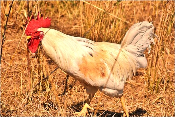 夢到己故之人有什麼意思_周公解夢官網