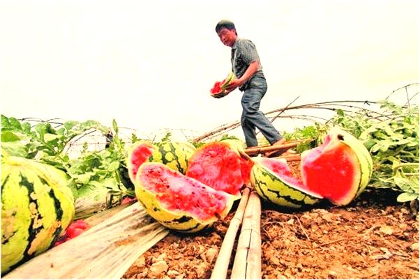 夢見無手人是怎么回事_周公解夢官網