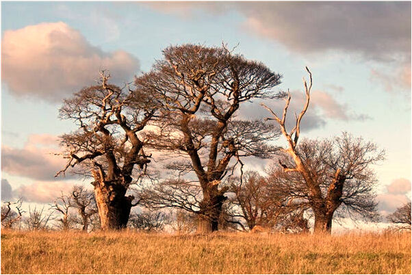 夢到了男人女人預示什麼_周公解夢官網