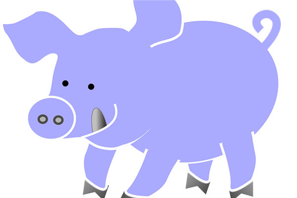 1983年5月屬豬女人桃花運_十二生肖