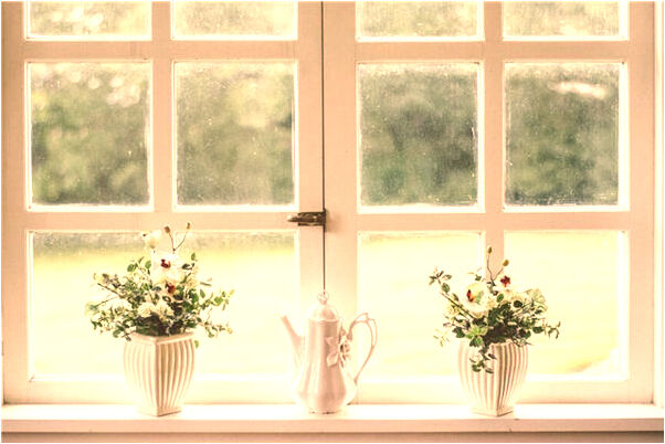 夢見貓會笑有什麼意思_周公解夢官網