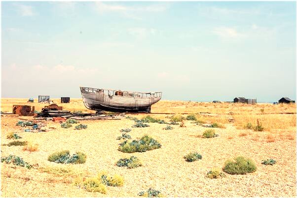 夢到老公是妖怪代表著什麼_周公解夢官網