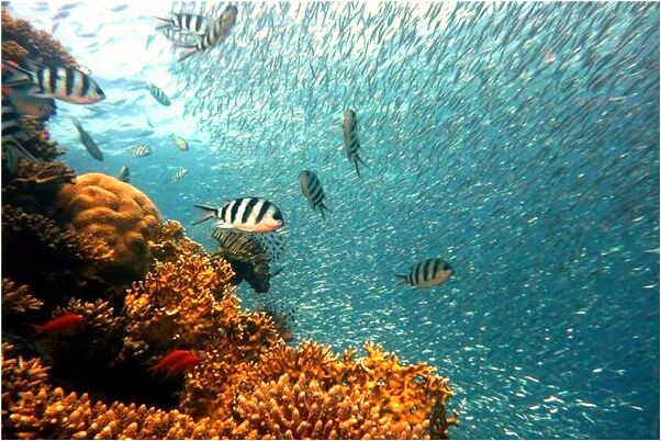 夢到我和男朋友第二天就要結婚會怎么樣_周公解夢官網