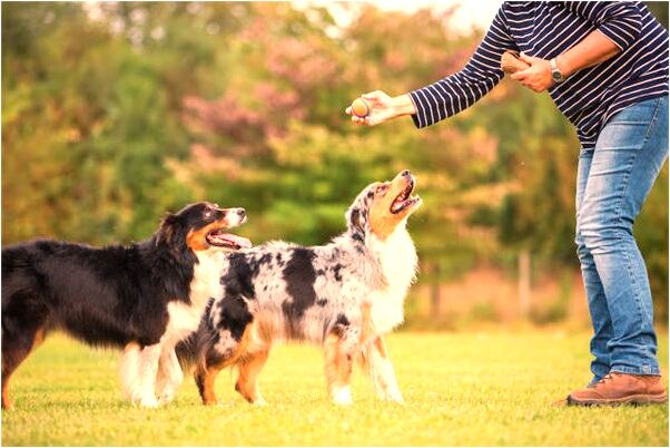 夢到前夫來了預兆了什麼嗎_周公解夢官網