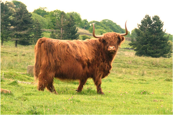 夢到親人家中堆滿香蠟紙什麼寓意_周公解夢官網