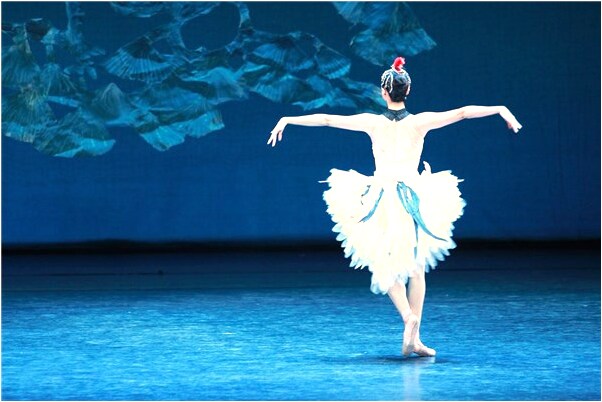 夢到抓了一隻大烏龜預示了什麼_周公解夢官網