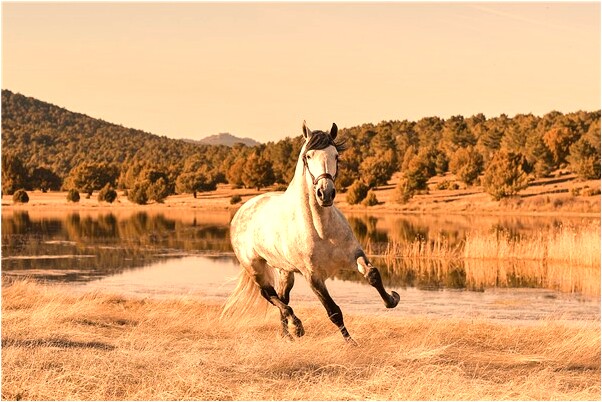 夢見小孩拉了我一身屎怎么樣_周公解夢官網
