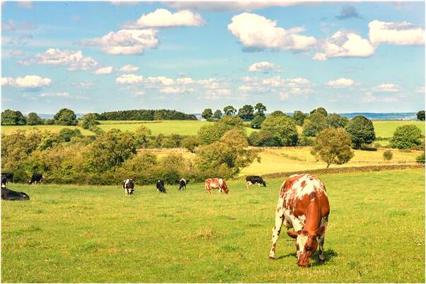 夢到了閨密提出要跟我前男友交往意味著什麼_周公解夢官網