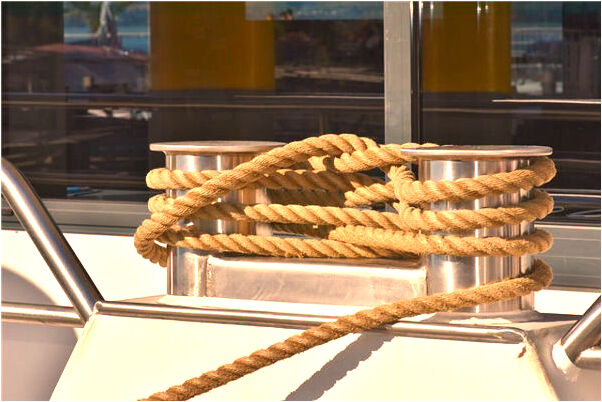 夢到了摘聖女果意味什麼_周公解夢官網