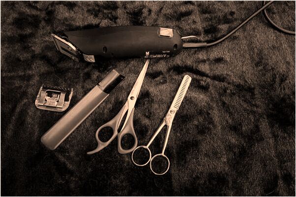 夢到了自己的女朋友和別人做愛是凶兆還是吉兆_周公解夢官網