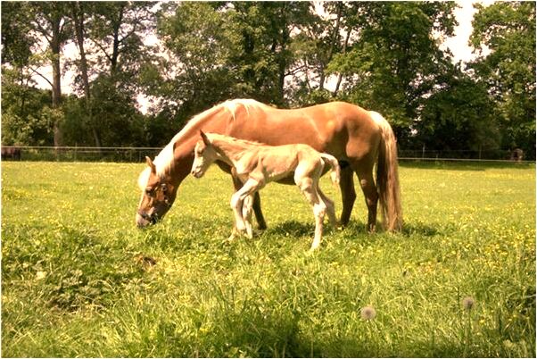 夢見情人下身是好是壞_周公解夢官網