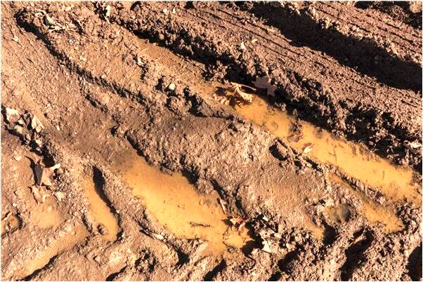 夢見蛇兩個頭有什麼意思嗎_周公解夢官網