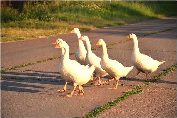 夢到夢老公手淫我氣的要離婚怎么說_周公解夢官網