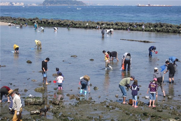 夢見淘水是什麼預兆_周公解夢
