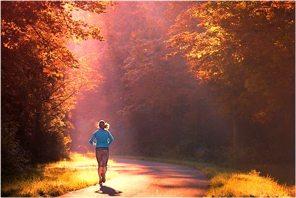 夢到了自下馬車是啥預兆_周公解夢官網