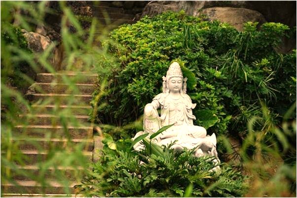 夢見學弟跟自己在一起預示什麼_周公解夢官網