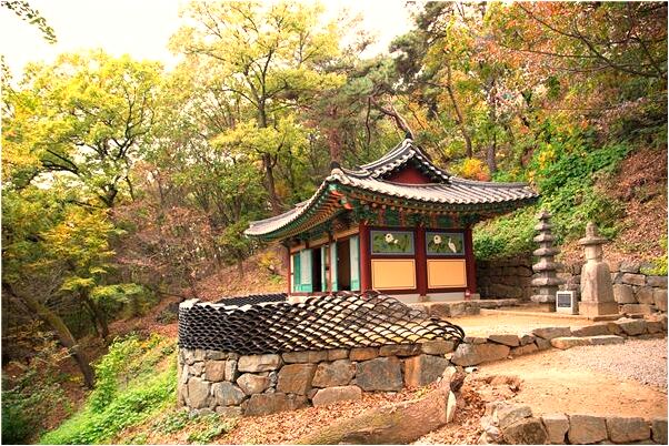 夢到遇到好多蛇打死後被狗吃掉有什麼預示嗎_周公解夢官網