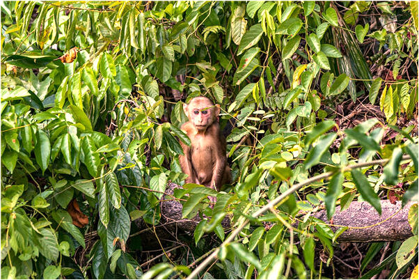 夢到了小男孩主動抱自己意味著什麼_周公解夢官網
