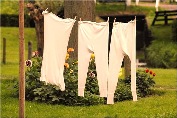 夢到被狗迫代表著什麼？_周公解夢官網