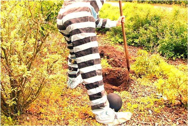 夢到了扛槍打戰是好的徵兆嗎_周公解夢官網