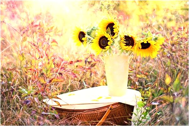 夢見水面上的船著火有什麼含義_周公解夢官網