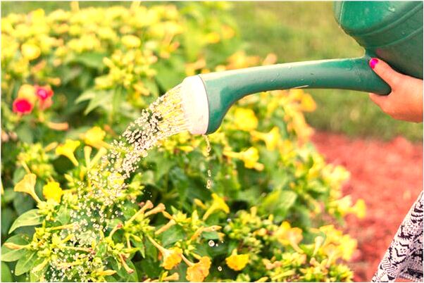 夢到了自己準備結婚禮服化妝宴客是啥意思_周公解夢官網