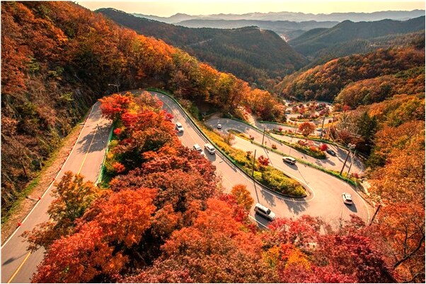 夢到了我自己在割麥子有何寓意_周公解夢官網