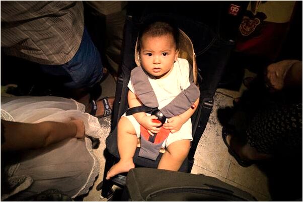 夢到了抓了好多大魚還有烏龜是什麼意思_周公解夢官網