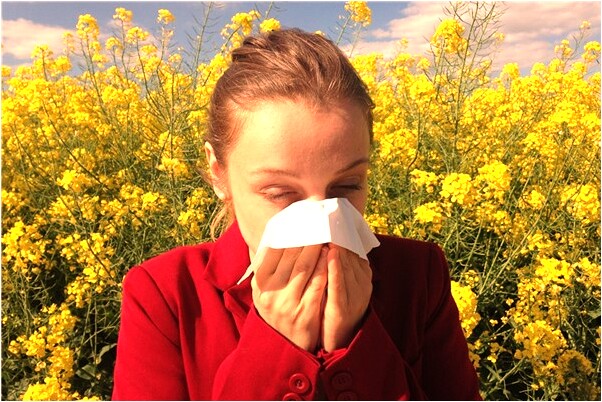 夢到有人求我辦事意味著什麼_周公解夢官網