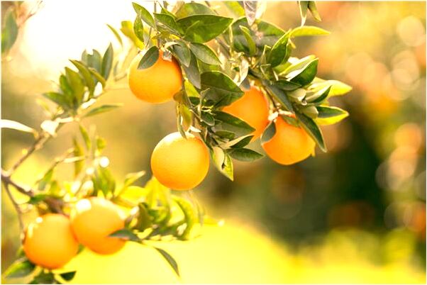 夢到懷孕鬼壓肚子的預兆_周公解夢官網